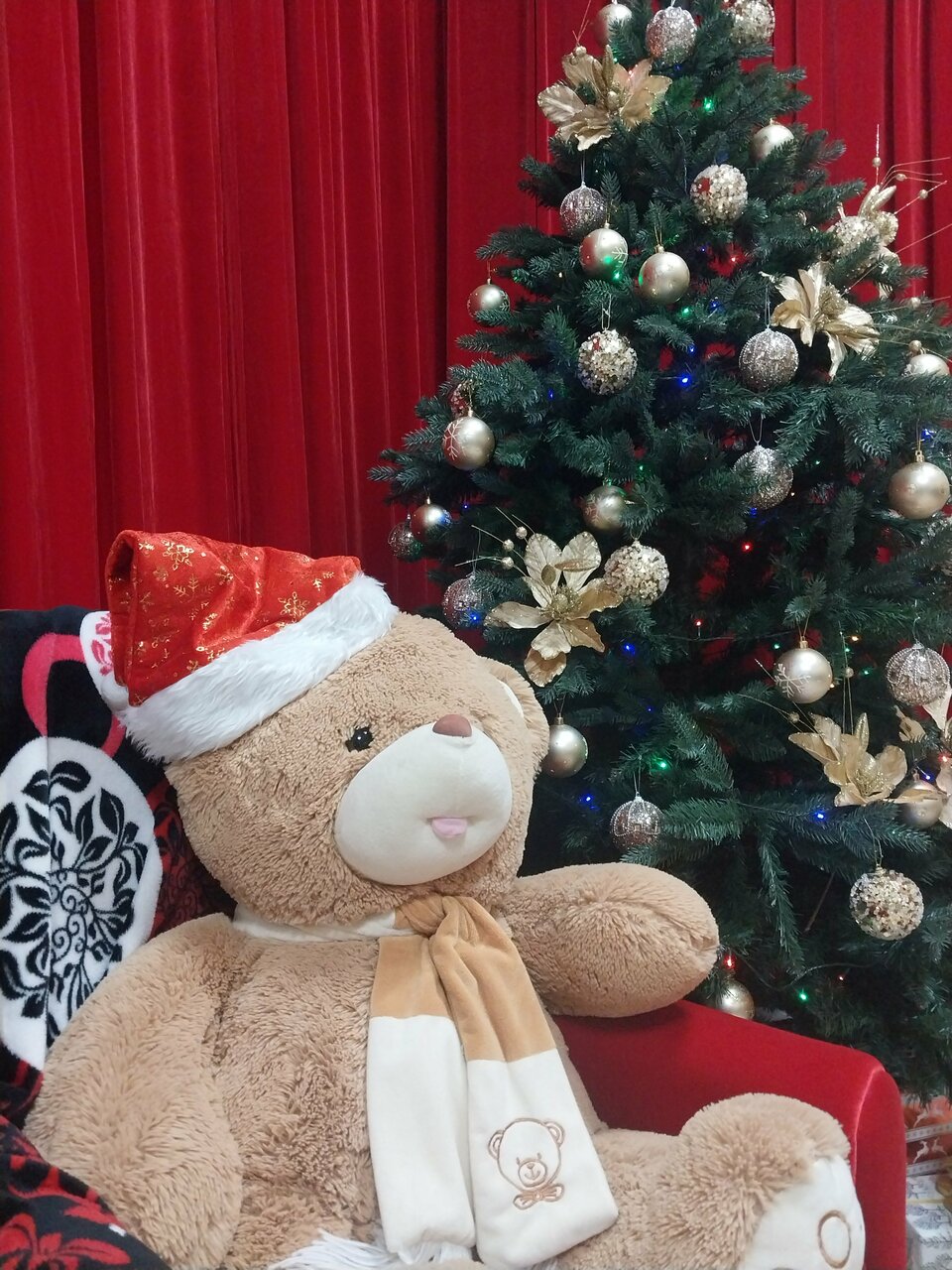 Гостиница Турист Ярославль-171