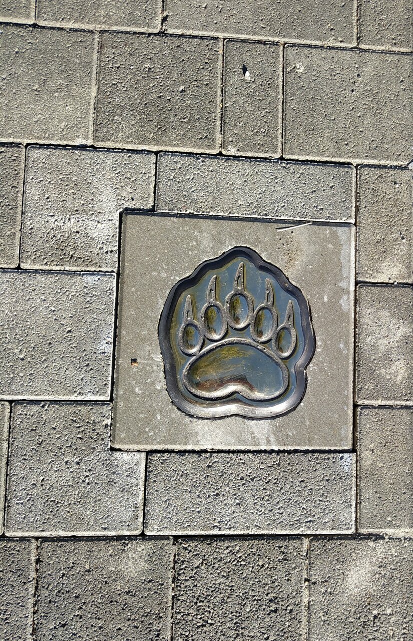 Гостиница Турист Ярославль-89