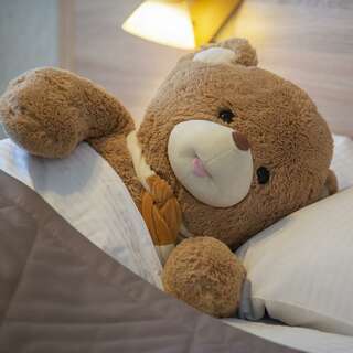 Гостиница Турист Ярославль Одноместный Стандарт-6