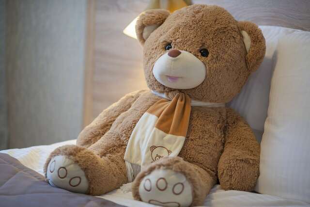 Гостиница Турист Ярославль-231