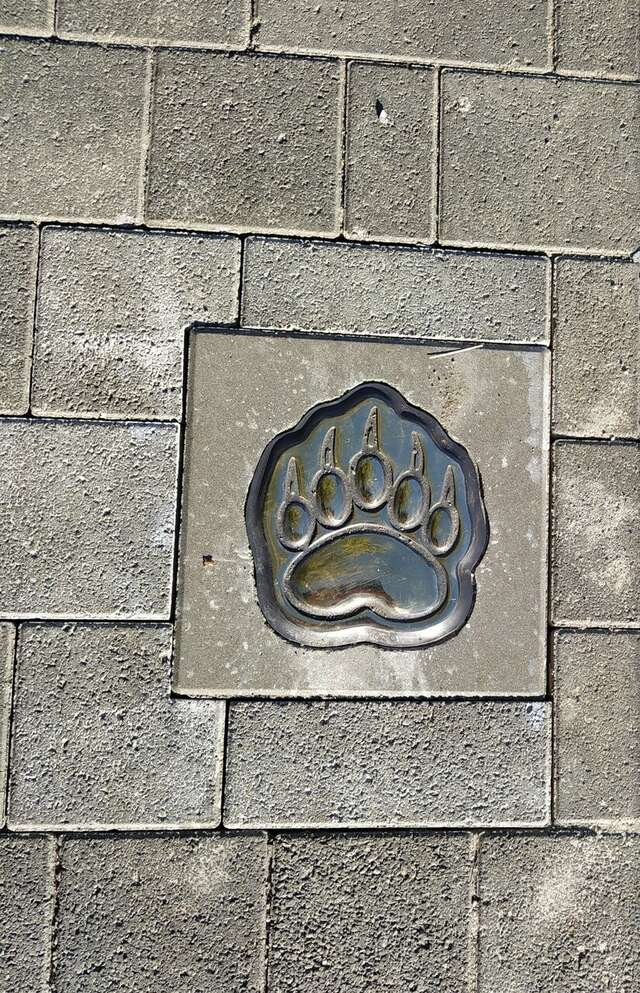 Гостиница Турист Ярославль-88